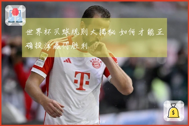 世界杯买球规则大揭秘 如何才能正确投注赢得胜利