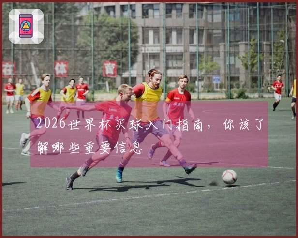 2026世界杯买球入门指南，你该了解哪些重要信息