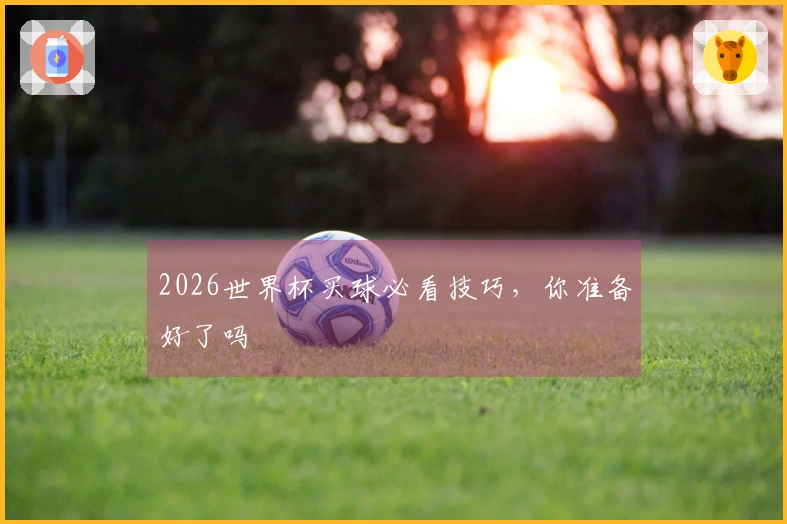 2026世界杯买球必看技巧，你准备好了吗