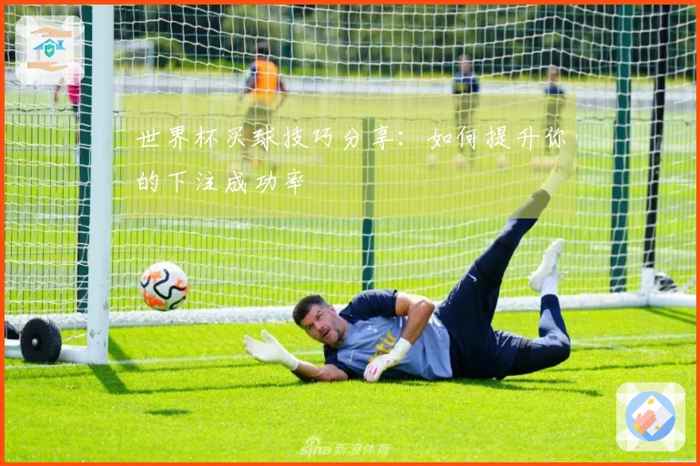 世界杯买球技巧分享：如何提升你的下注成功率