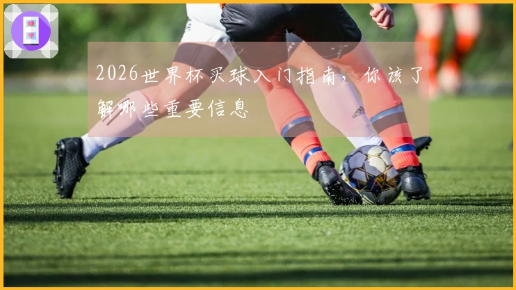 2026世界杯买球入门指南，你该了解哪些重要信息