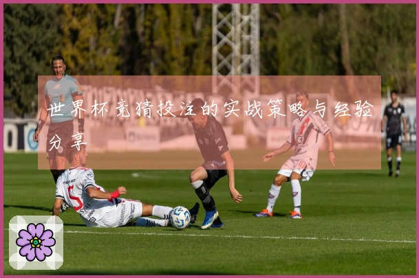 世界杯竞猜投注的实战策略与经验分享