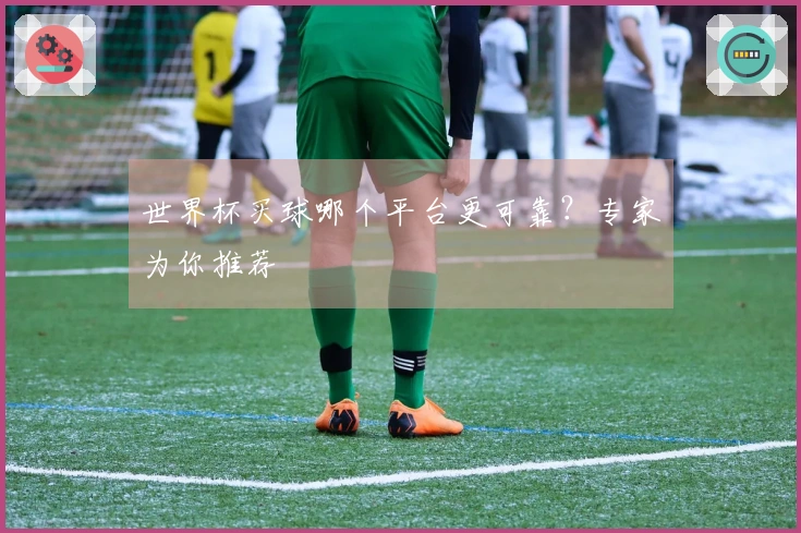 世界杯买球哪个平台更可靠？专家为你推荐