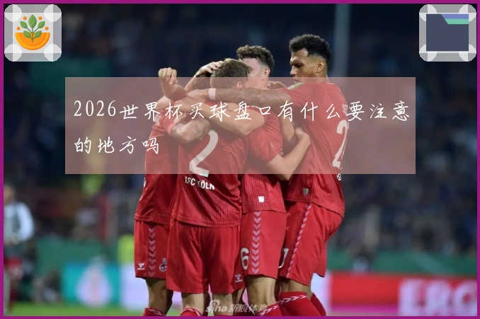 2026世界杯买球盘口有什么要注意的地方吗