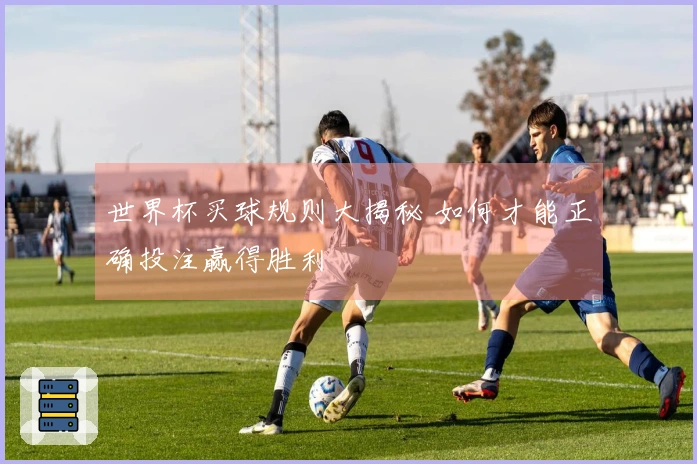 世界杯买球规则大揭秘 如何才能正确投注赢得胜利