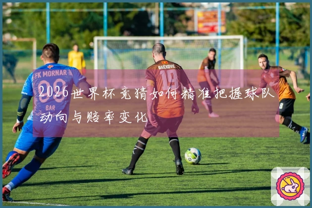 2026世界杯竞猜如何精准把握球队动向与赔率变化