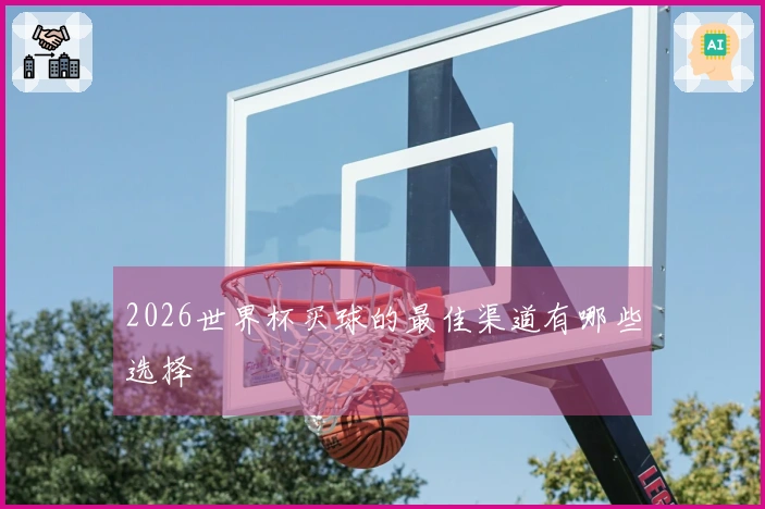 2026世界杯买球的最佳渠道有哪些选择