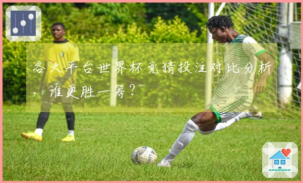 各大平台世界杯竞猜投注对比分析，谁更胜一筹？
