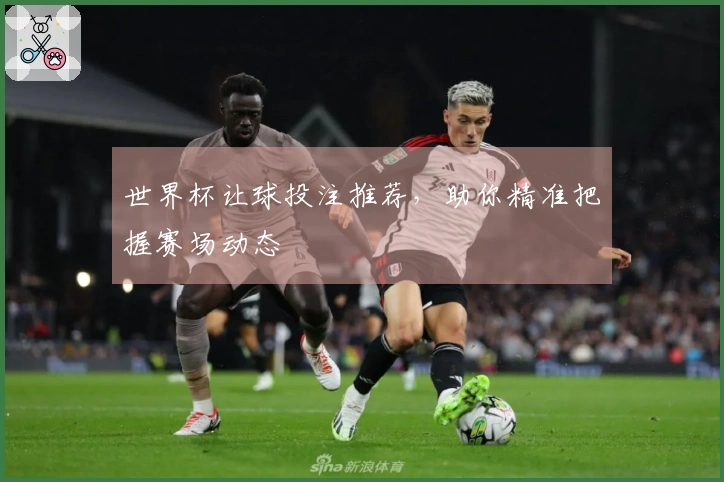 世界杯让球投注推荐，助你精准把握赛场动态