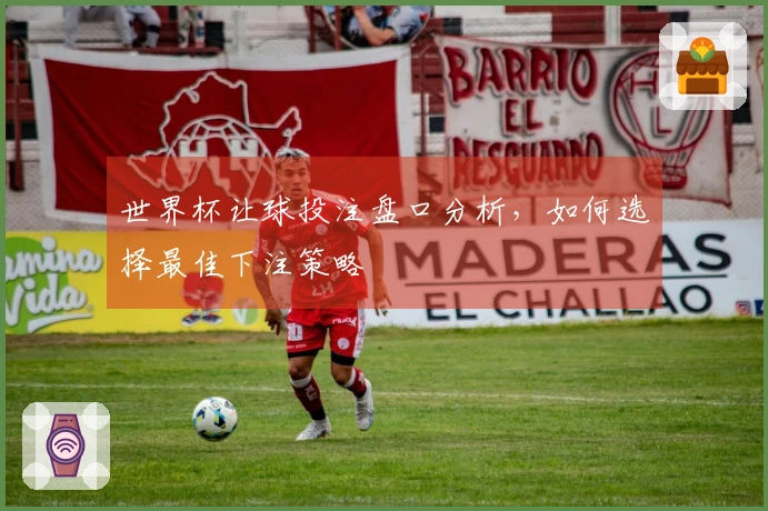 世界杯让球投注盘口分析，如何选择最佳下注策略