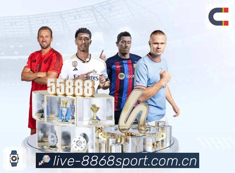 信息结构认证展示